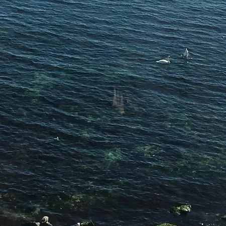 Апартамент Milagro Равда